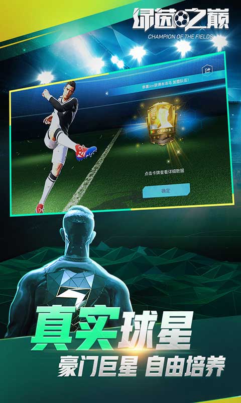 绿茵之巅游戏截图2
