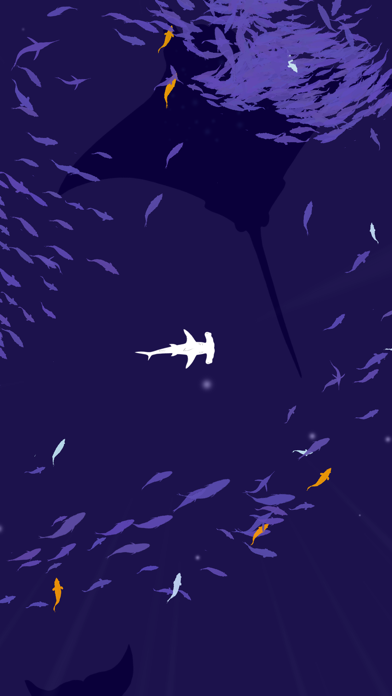 Shoal of fish游戏截图3