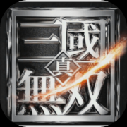 真・三國無双