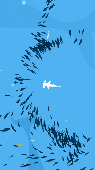 Shoal of fish游戏截图1