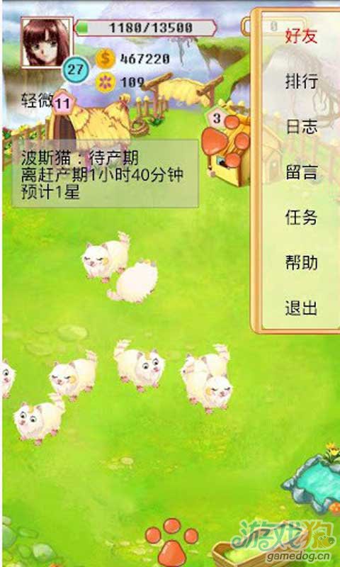 疯狂牧场游戏截图2