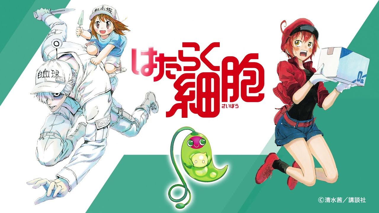 工作细胞游戏截图3