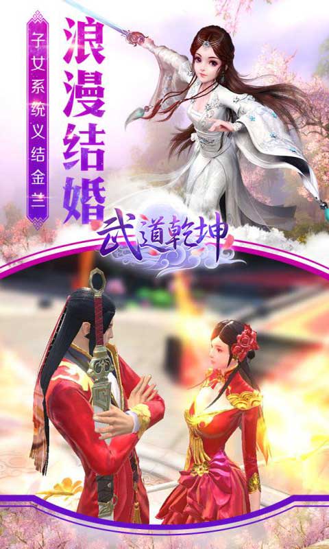 武道乾坤游戏截图1