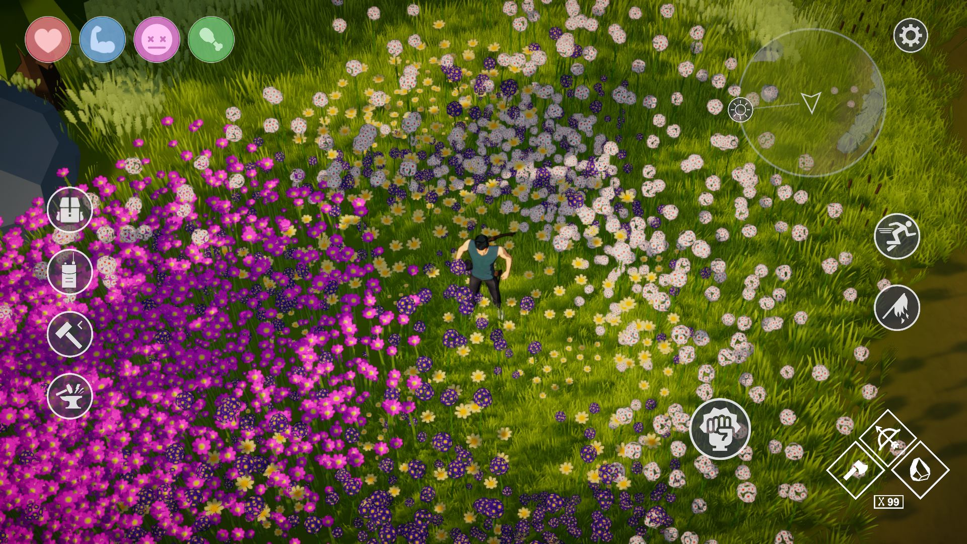 爱与荒野游戏截图5