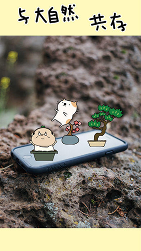 盆栽大师最新版游戏截图4