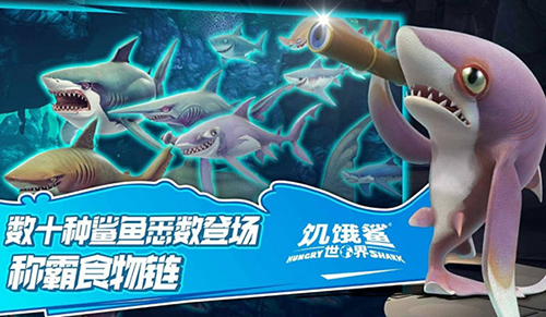 饥饿鲨世界999999钻999999金币最新版游戏截图2