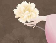 知否知否应是绿肥红瘦