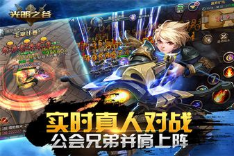 光明之谷游戏截图1