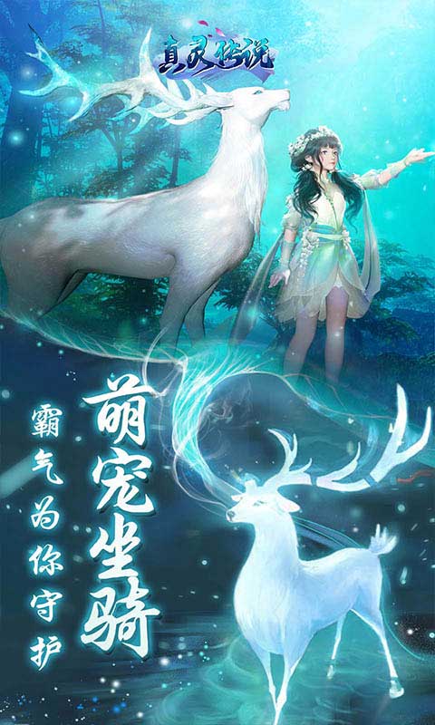 真灵传说游戏截图3