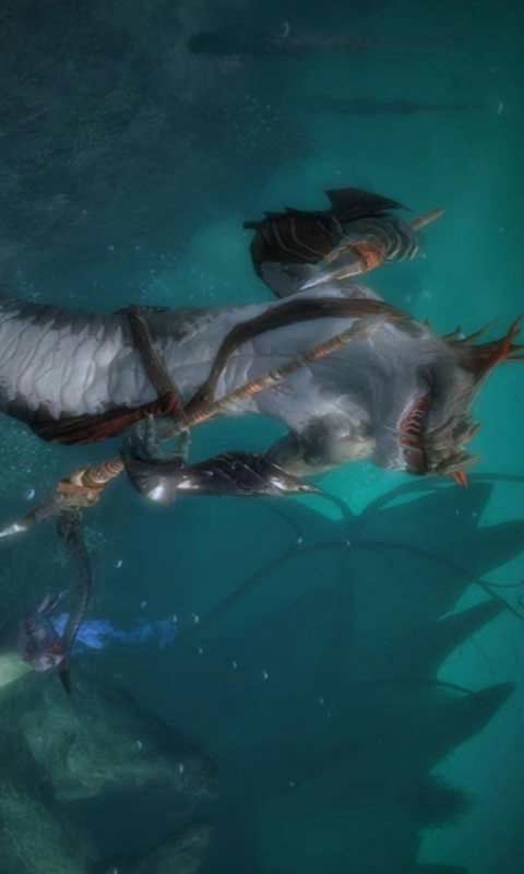 激战2游戏截图2