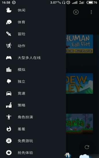 蒸汽平台游戏截图3