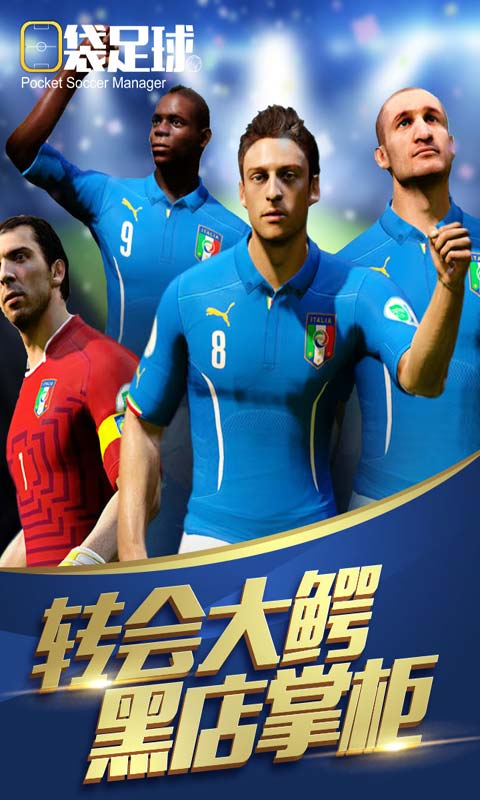 口袋足球游戏截图2