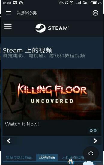 蒸汽平台游戏截图4