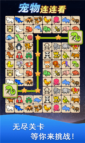 宠物消除大作战游戏截图2