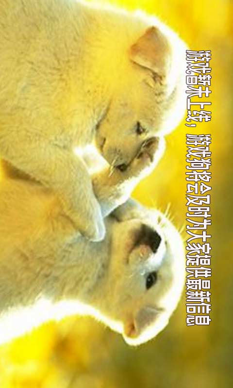 斗国封神-游戏截图1