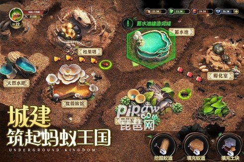 小小蚁国游戏游戏截图1