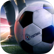 世界职业足球2015