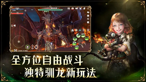 龙之灵域官方版游戏截图1