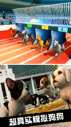 我的萌宠世界手机版游戏截图3