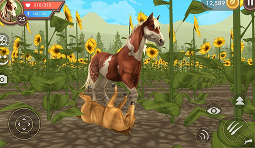 3D动物模拟器中文版游戏截图3