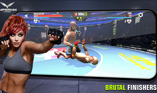 MMA格斗冲突23去广告版游戏截图4