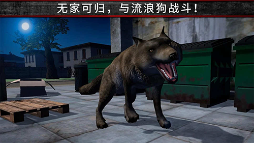 荒野流浪记最新版游戏截图2