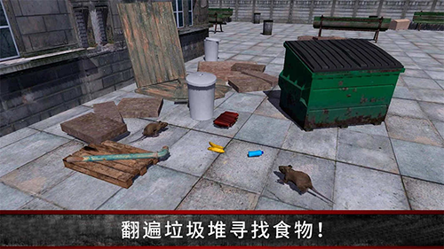 荒野流浪记最新版游戏截图4