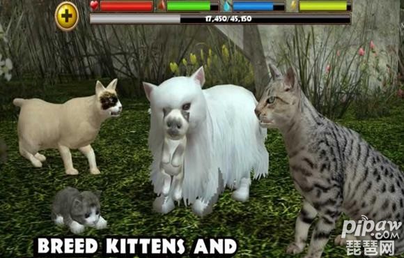 流浪猫模拟游戏截图3