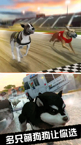 我的萌宠世界手机版游戏截图4