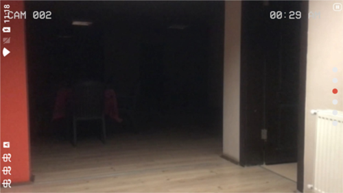 超自然公司伪人监控游戏截图1