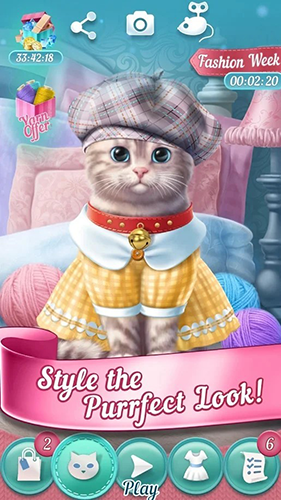 可爱的小猫最新版本游戏截图3