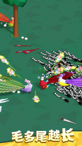 孔雀拔毛大赛-游戏截图2