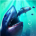 鲨鱼进化模拟器最新版