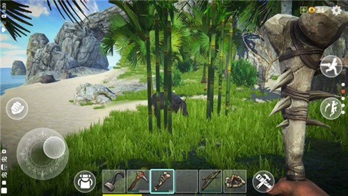 最后的海盗岛屿生存安卓版游戏截图4