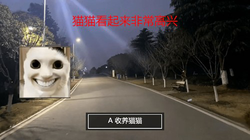 猫猫惊魂无广告版游戏截图2