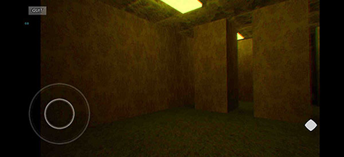 LHY后室联机版游戏截图4