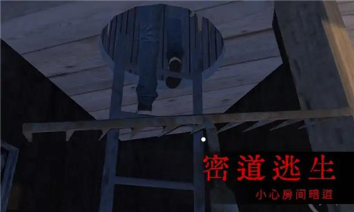 恐怖屋的爷爷奶奶最新版游戏截图2