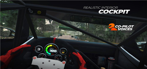 真实拉力赛中文版游戏截图1