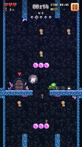 超级仓鼠球黄金版-游戏截图1