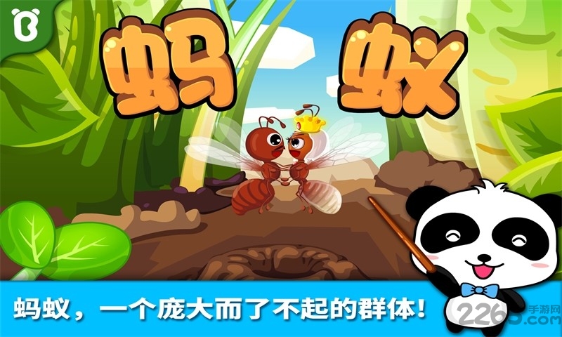 宝宝认蚂蚁小游戏游戏截图2