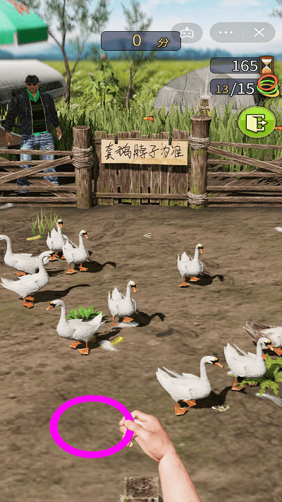 天天套圈小游戏游戏截图1