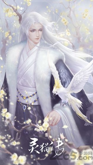 灵猫传手游官服游戏截图2