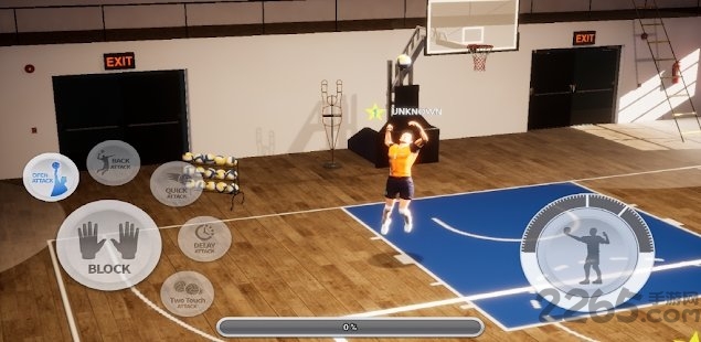 真实排球手游游戏截图3