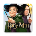 哈利波特霍格沃茨之谜手游