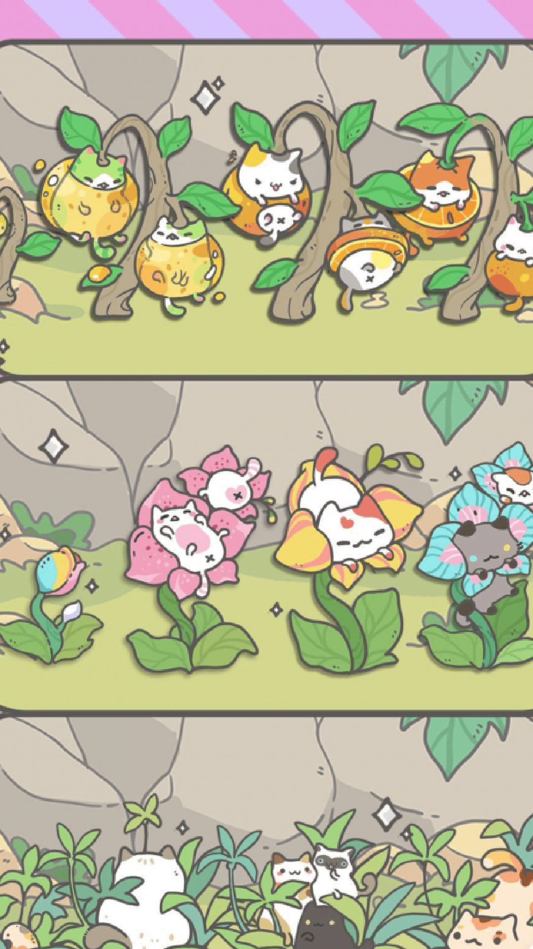 养猫达人-游戏截图2