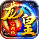 龙皇GM版
