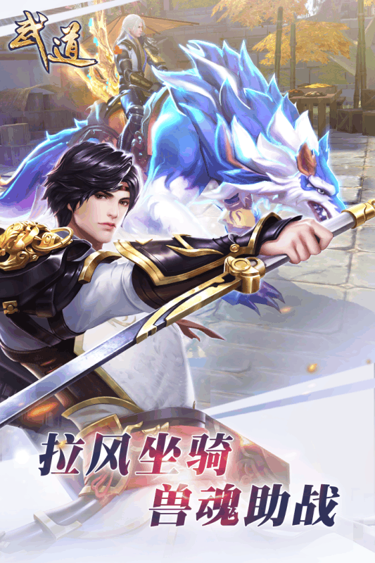 武道加强版游戏截图3