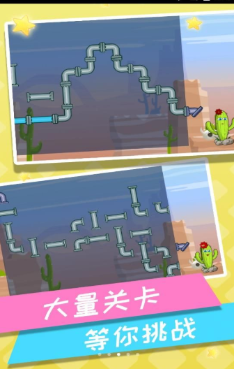 救救仙人掌游戏截图2