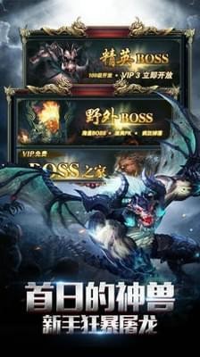 盛世龙城传奇打金-游戏截图3