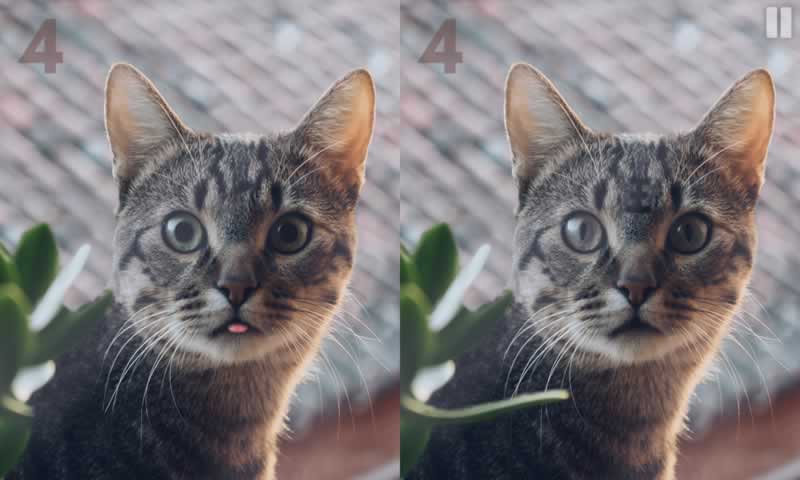 慧眼寻异游戏截图2